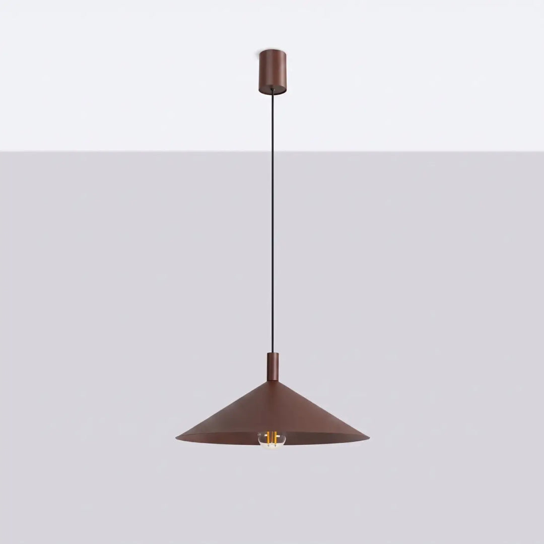 Suspension Luminaire marron éteinte, vue rapprochée
