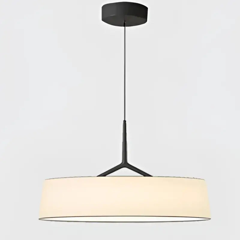Suspension luminaire moderne minimaliste à lumière douce