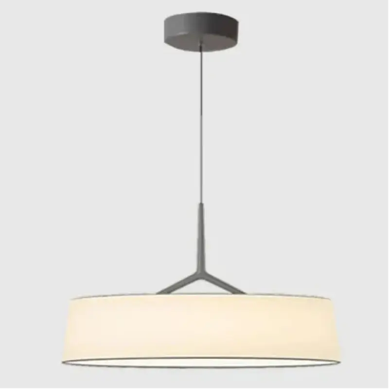 Suspension luminaire moderne minimaliste à lumière douce