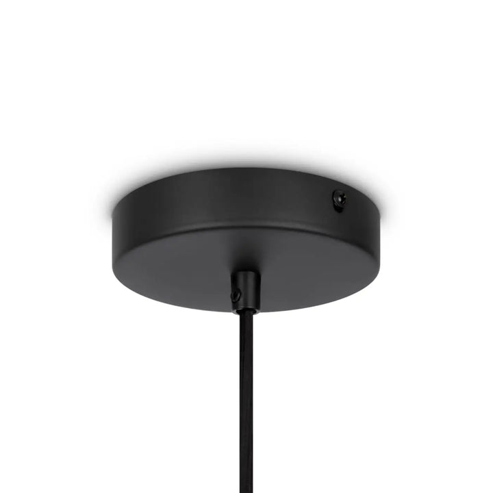 Suspension luminaire roots en finition noire mate avec base circulaire élégante et cordon fin pour un style organique adoucit bois naturel